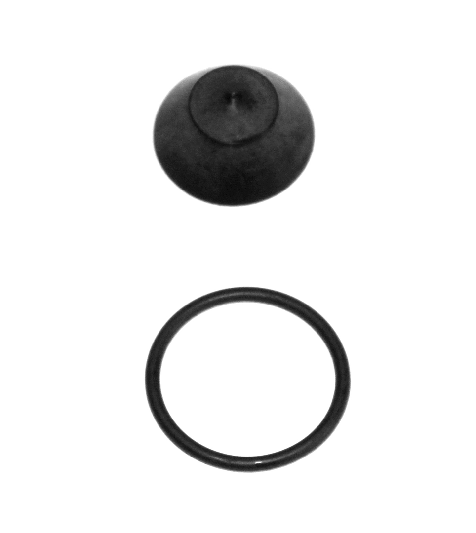 QSP 108-101-R Quick Exhaust Repair Kit